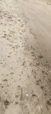 Prime 4000 Sqm Plot with State Title, Olu Holloway Street, Old Ikoyi, Ikoyi, Lagos, Residential Land for Sale