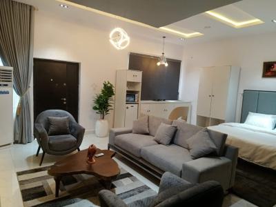 Luxury Studio Apartment with Gym and Swimming Pool, Justice Court Estate, Lekki, Lagos, Flat / Apartment Short Let