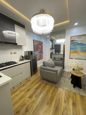 Cute and Lovely One Bedroom Apartment, Ikate, Ikate Elegushi, Lekki, Lagos, Flat / Apartment Short Let