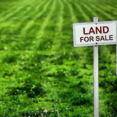 1000sqm Bare Land, Nicon Town, Lekki, Lagos, Land for Sale
