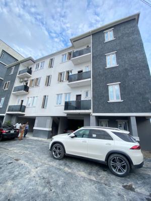 Clean 2 Bedroom Apartment with Private Car Park, Ikate, Lekki, Lagos, Flat / Apartment for Rent