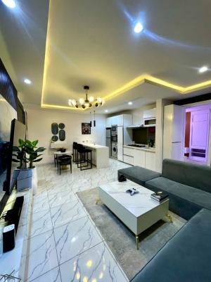 Tastefully Furnished 1 Bedroom Apartment with 24/7 Power, Inverter,gym, Off Freedom Way, Lekki Phase 1, Lekki, Lagos, Mini Flat (room and Parlour) for Rent