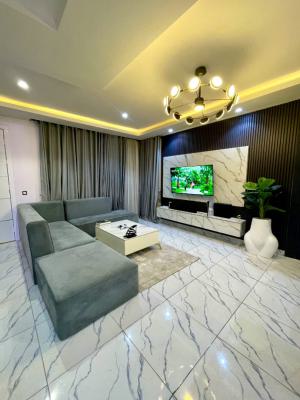 _tastefully Furnished 1 Bedroom Apartment with Inverter, Lekki Phase 1, Lekki, Lagos, Flat / Apartment for Rent