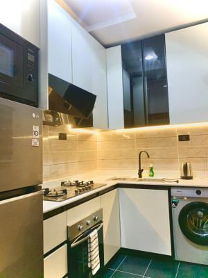 Uranus 1 Bedroom Apartment, Ashfa Tijani Street, Harmony Estate, Gbagada, Lagos, Mini Flat (room and Parlour) Short Let