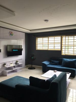 Fully Furnished 2 Bedroom Apartment, Mambolo Street, Zone 2, Wuse, Abuja, Flat / Apartment Short Let