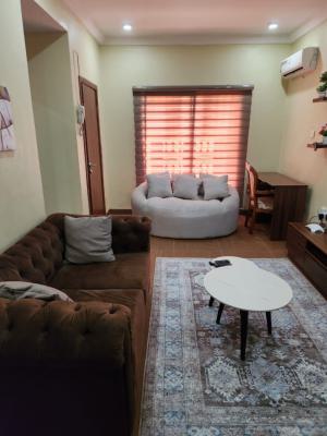 Luxurious Massive Fully Furnished 1bedroom Flat, By Zatech, Wuye, Abuja, Flat / Apartment for Rent