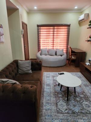 Luxury Fully Furnished 1bedroom Flat with 2 Toilets  on The 2nd Floor*, Inside Estate, Wuye, Abuja, Mini Flat (room and Parlour) for Rent