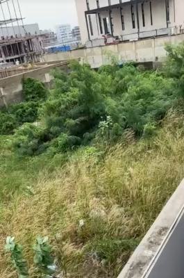 Bareland Measuring 750 Sqms, Mojisola Onikoyi Estate, Ikoyi, Lagos, Residential Land for Sale