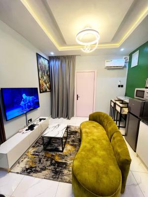 Nicely Furnished 1 Bedroom Apartment, Lawanson, Surulere, Lagos, Flat / Apartment Short Let