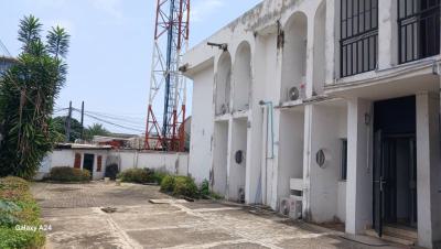 Excellent Spacious 7 Bedroom Duplex, Victoria Island (vi), Lagos, Restaurant / Bar for Rent