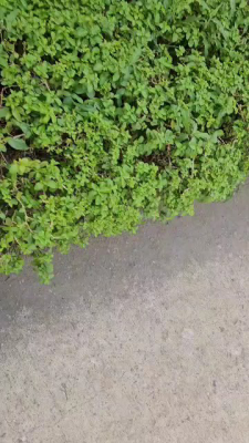 4,100sqm 1 Acre of Land, Isaac John Street, Ikeja, Lagos, Mixed-use Land for Sale