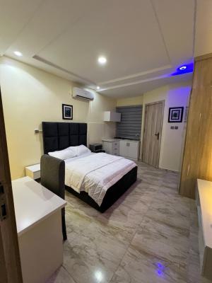 All in One Room Shortle, Royal Pine Estate, Orchid Road, Lekki, Lagos, Self Contain (single Rooms) Short Let