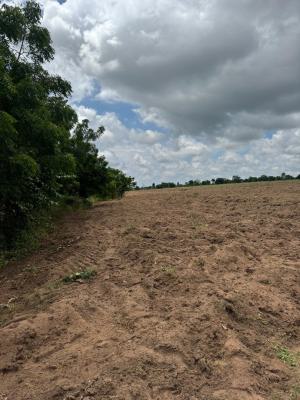 Invest in Cocoa and Plantain Farming in Next Generation Farmland City, Earn 5 Million per Annum When You Invest in Cocoa Farmland, Abeokuta North, Ogun, Land for Sale