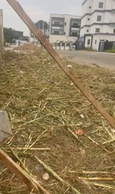 900sqm, Residential, C of O, Tarred Road, Jahi Gilmor, Jahi, Abuja, Residential Land for Sale