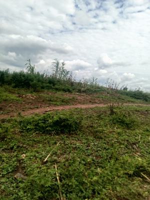 1000sqm of Residential Land for 6 Units of 3 Bedroom Blocks of Flat, Waru, Apo, Abuja, Residential Land for Sale