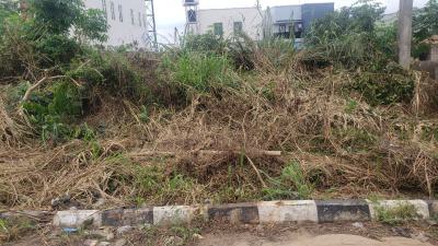 Standard Plot of Complete Dry Land, Kay Farm Estate, Ogba, Ikeja, Lagos, Land for Sale