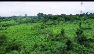 Acres of Prime Land, Lagos Ibadan-expressway, Ibadan, Oyo, Mixed-use Land for Sale