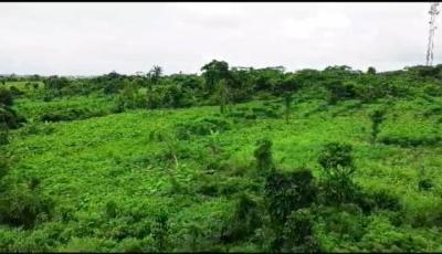 120 Hectares of Prime Land, Lagos /ibadan Express Way, Ibadan, Oyo, Mixed-use Land for Sale