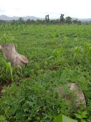 1000sqm Individual Plot, By Woodhill Estate After Madonna School, Kuje, Abuja, Residential Land for Sale