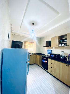 Luxury 2 Bedroom Flat, 12 Road, Utako, Abuja, Flat / Apartment Short Let
