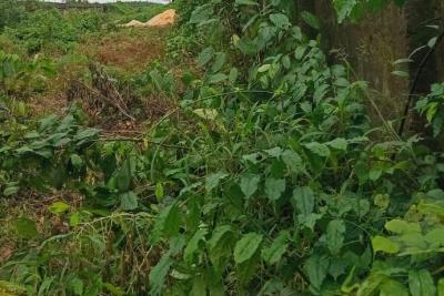 Well-situated One and a Half Plots of Land in a Developed Area with C of O, Eneka, Port Harcourt, Rivers, Residential Land for Sale