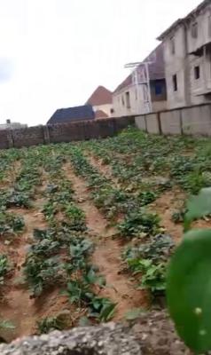 650sqm, Residential, at Shagari Layout, Dei-dei, Abuja, Residential Land for Sale