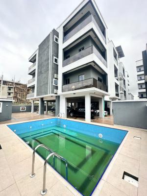 Cozy 2 Bedroom Apartment with Swimming Pool., Ikate, Lekki, Lagos, Flat / Apartment for Rent