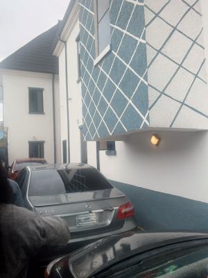 Newly Luxury Mini Flat +pop +amenities (up & Down, Environment Off College Road Ogba-ikeja Lagos, Ogba, Ikeja, Lagos, Mini Flat (room and Parlour) for Rent