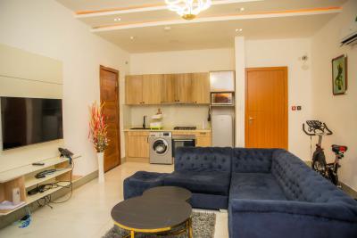 Nicely Furnished 1 Bedroom Apartment, Ikota, Lekki, Lagos, Flat / Apartment Short Let