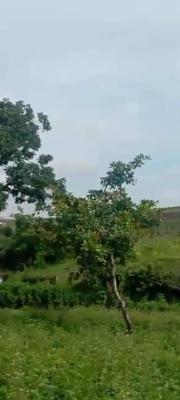 Mass Housing Measuring 134ha of Land, By Gilmore Site, Wasa, Apo, Abuja, Mixed-use Land for Sale