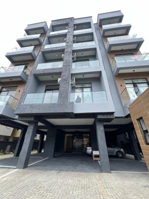 Perfectly Carved 2 Bed Apartment with Swimming Pool , Gym , Elevator, Ikate, Lekki, Lagos, Flat / Apartment for Sale