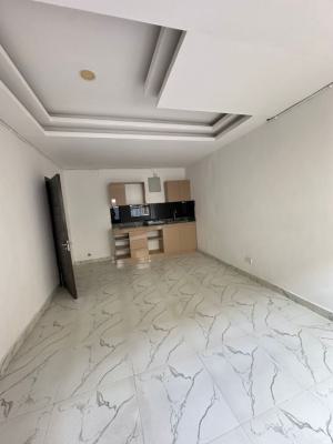 Portable One Bedroom Apartment, Fola Oshibo Road, Lekki Phase 1, Lekki, Lagos, Mini Flat (room and Parlour) for Rent