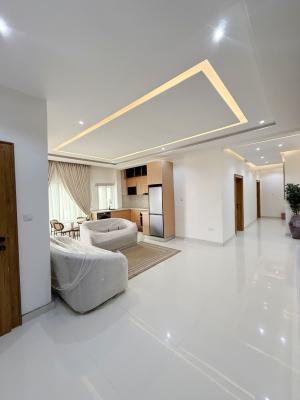 Fully Furnished 2 Bedrooms Flat, Ikate, Lekki Phase 1, Lekki, Lagos, Flat / Apartment for Sale