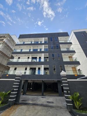 Stylish 2-bedroom Apartment with Pool, Elevator Suitable for Airbnb, Ikate, Lekki, Lagos, Flat / Apartment for Sale