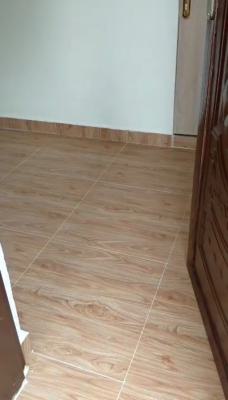 Miniflat, Ikate Elegushi, Lekki, Lagos, Mini Flat (room and Parlour) for Rent