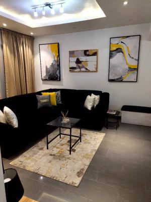 Furnished 1bedroom Apartment Well Standard, Ikate, Lekki, Lagos, Mini Flat (room and Parlour) for Rent
