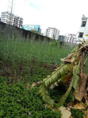 505sqm Bareland with Good Title, Hunponu Wusu Street, Lekki Phase 1, Lekki, Lagos, Residential Land for Sale