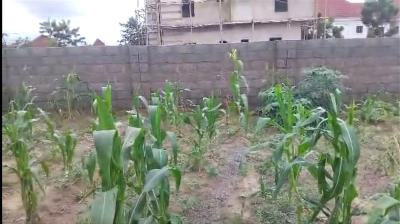 Estate Land, Zamani Estate Abacha Road, Mararaba, Karu, Nasarawa, Residential Land for Sale