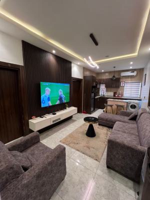 Affordable and Spacious 1 Bedroom Apartment, Wuse, Abuja, Mini Flat (room and Parlour) Short Let