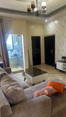 Fully Furnished Mini Flat at Abijo Gra, Abijo, Lekki, Lagos, Mini Flat (room and Parlour) for Rent