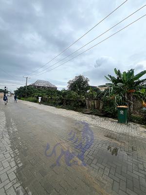 Prime 330sqm Land in a Developed Estate, Sangotedo, Ajah, Lagos, Land for Sale
