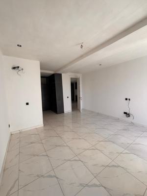 Fully Serviced 2 Bedroom Apartment with Elevator, Ikate, Lekki, Lagos, Flat / Apartment for Rent