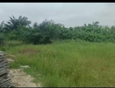 Two Plots of a Dry  Land, Orchid  Road Lekki Lagos State, Lekki, Lagos, Land for Sale
