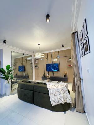 Luxury Well Furnished Two Bedrooms Apartment, Chevron, Lekki, Lagos, Flat / Apartment Short Let