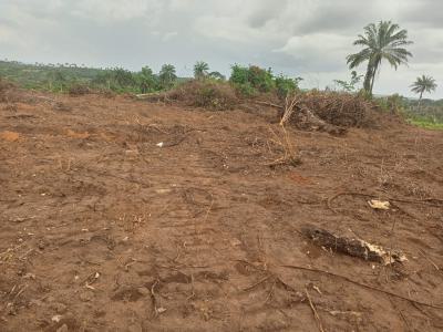 Land with Certificate of Occupancy (c of O), Aiyetoro Along New Lekki International Airport, Ibeju Lekki, Lagos, Residential Land for Sale