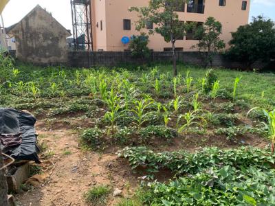 Well Located 600 Sqm Land with R of O, Fo1 Layout, Kubwa, Abuja, Residential Land for Sale