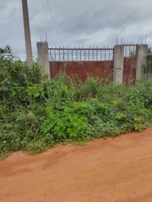 Land 500sqm, Surulere, Lagos, Residential Land for Sale