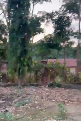 Distress 2200 Commercial Plot, Asokoro District, Abuja, Commercial Land for Sale