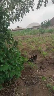 1 Plot of Land, Ataoja Egbunoluwa Ringroad By Pass, Osogbo, Osun, Residential Land for Sale