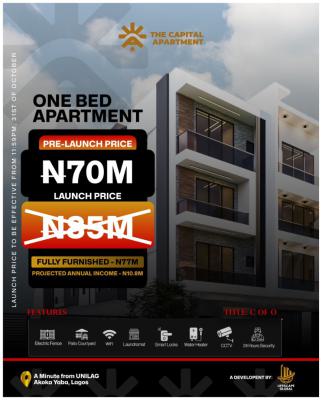 The Capital Apartment a Cashflow Producing Assets and Investment, Akoka, Yaba, Lagos, Flat / Apartment for Sale